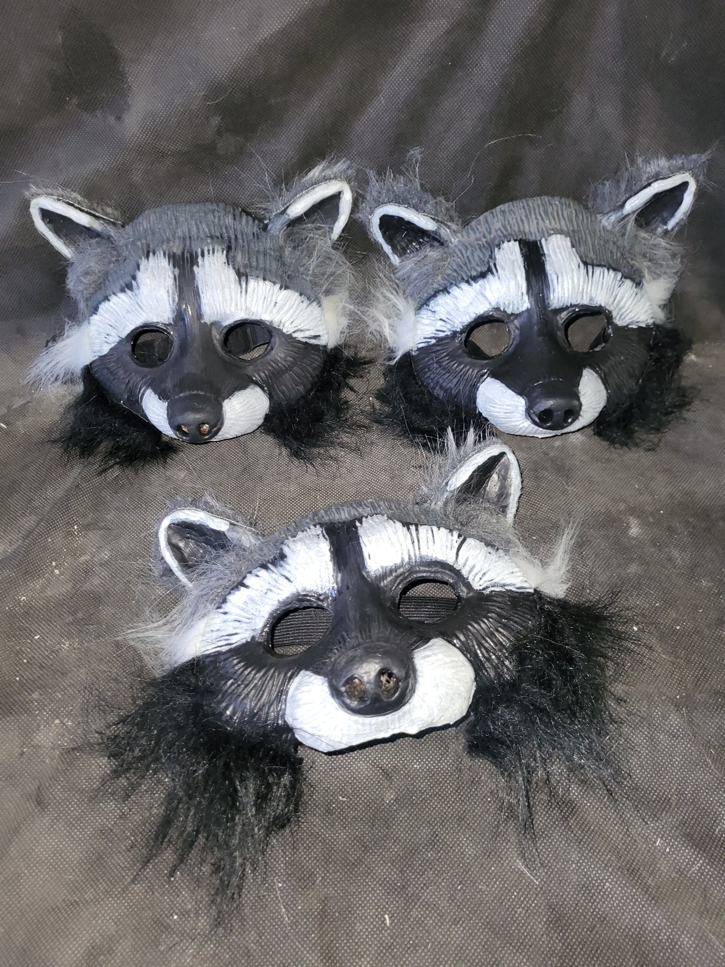 Raton-laveur/ Racoon