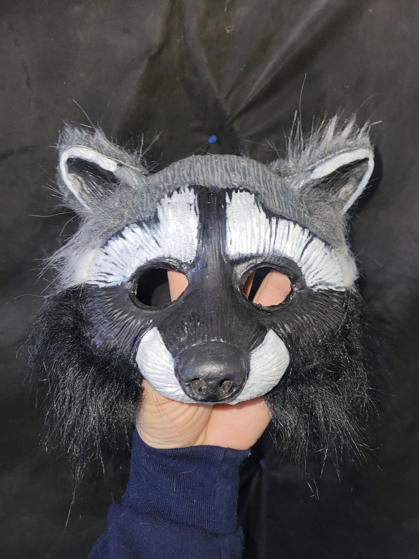 Raton-laveur/ Racoon