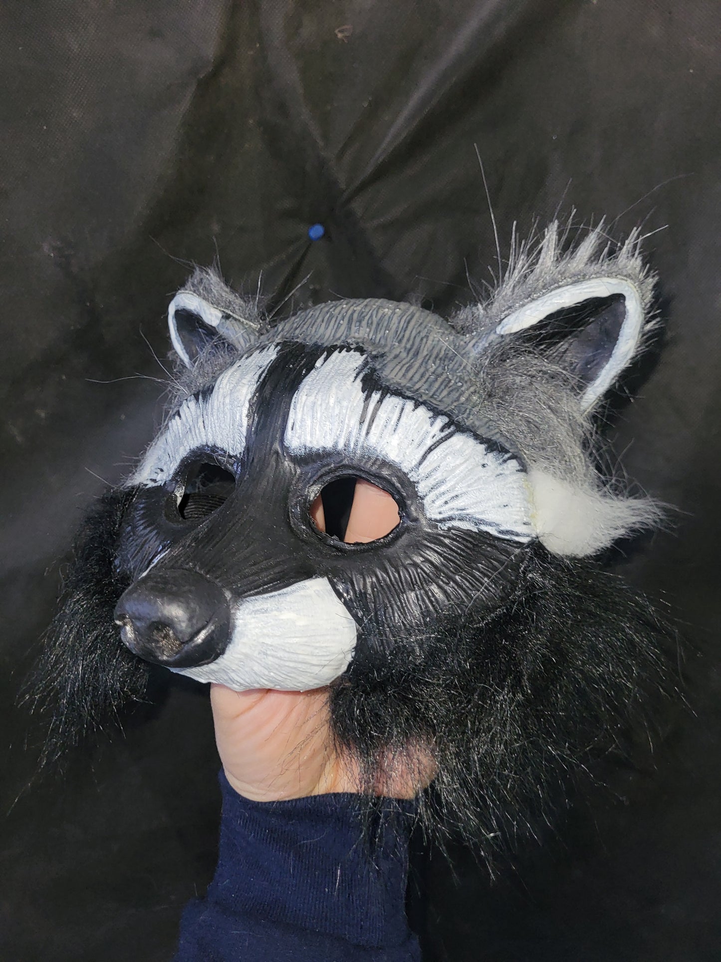 Raton-laveur/ Racoon