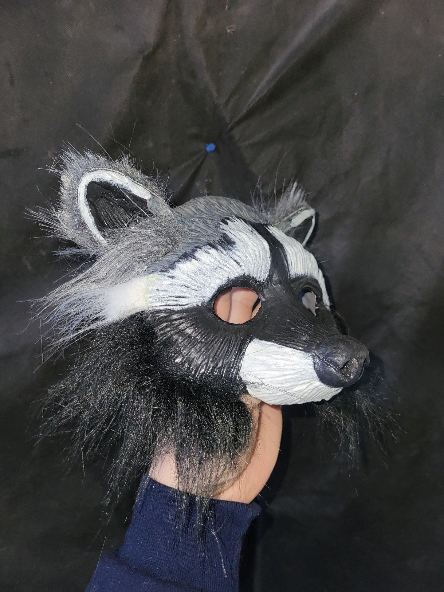 Raton-laveur/ Racoon