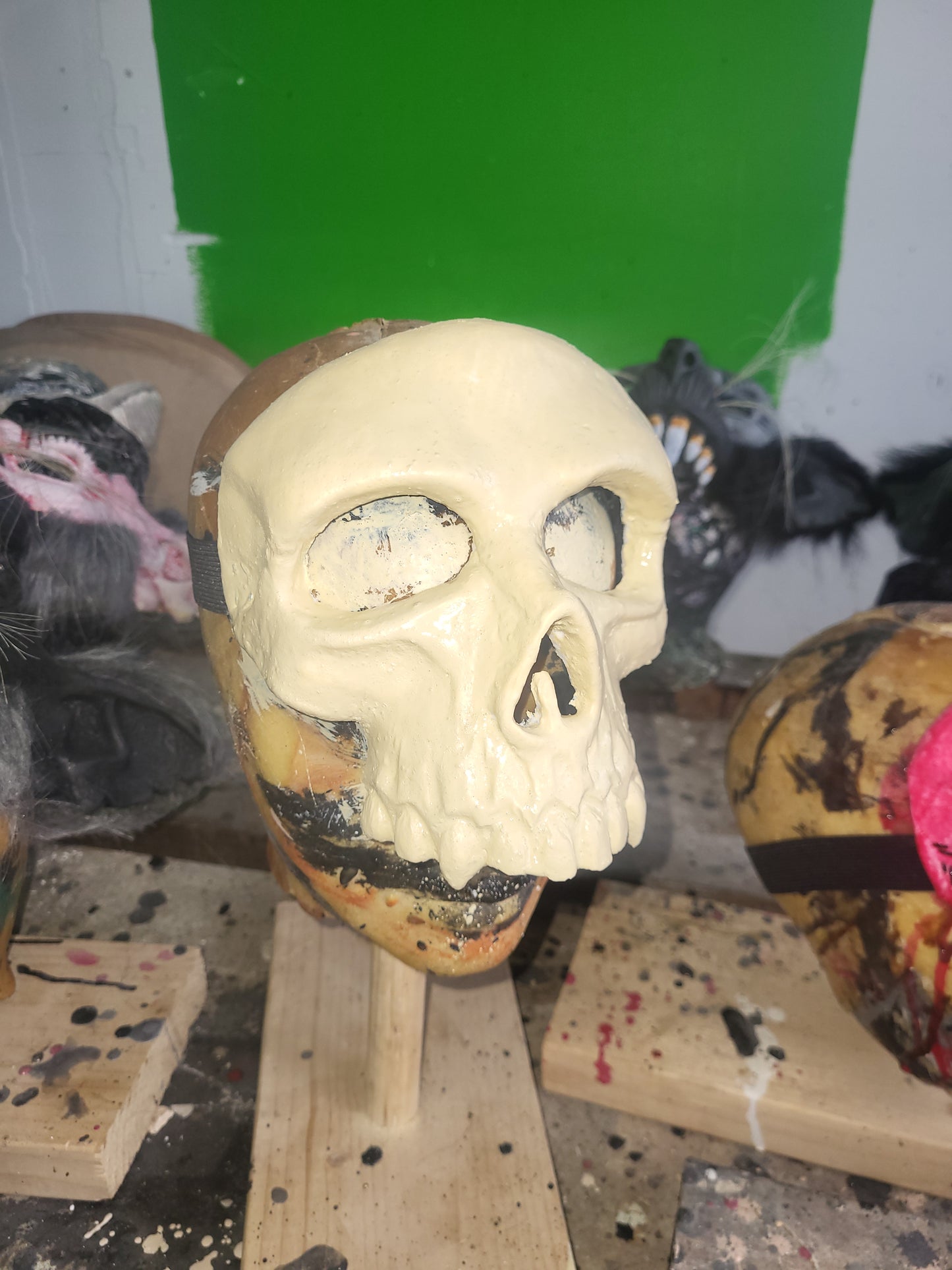 Squelette/ Skull
