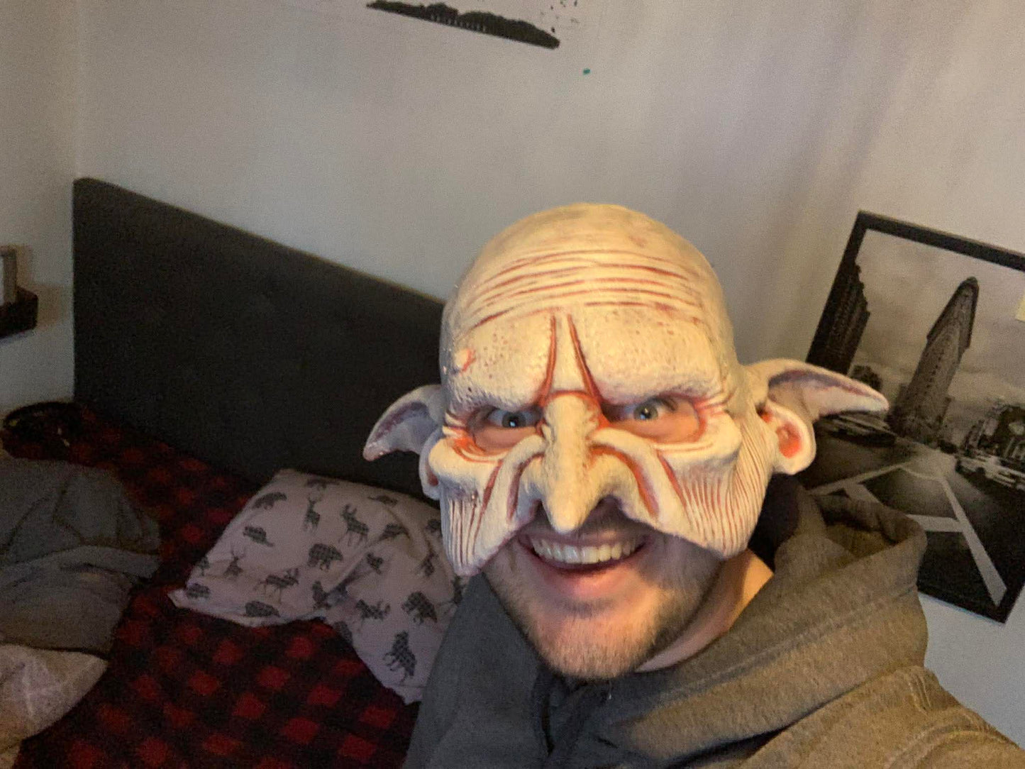 Masque de gobelin