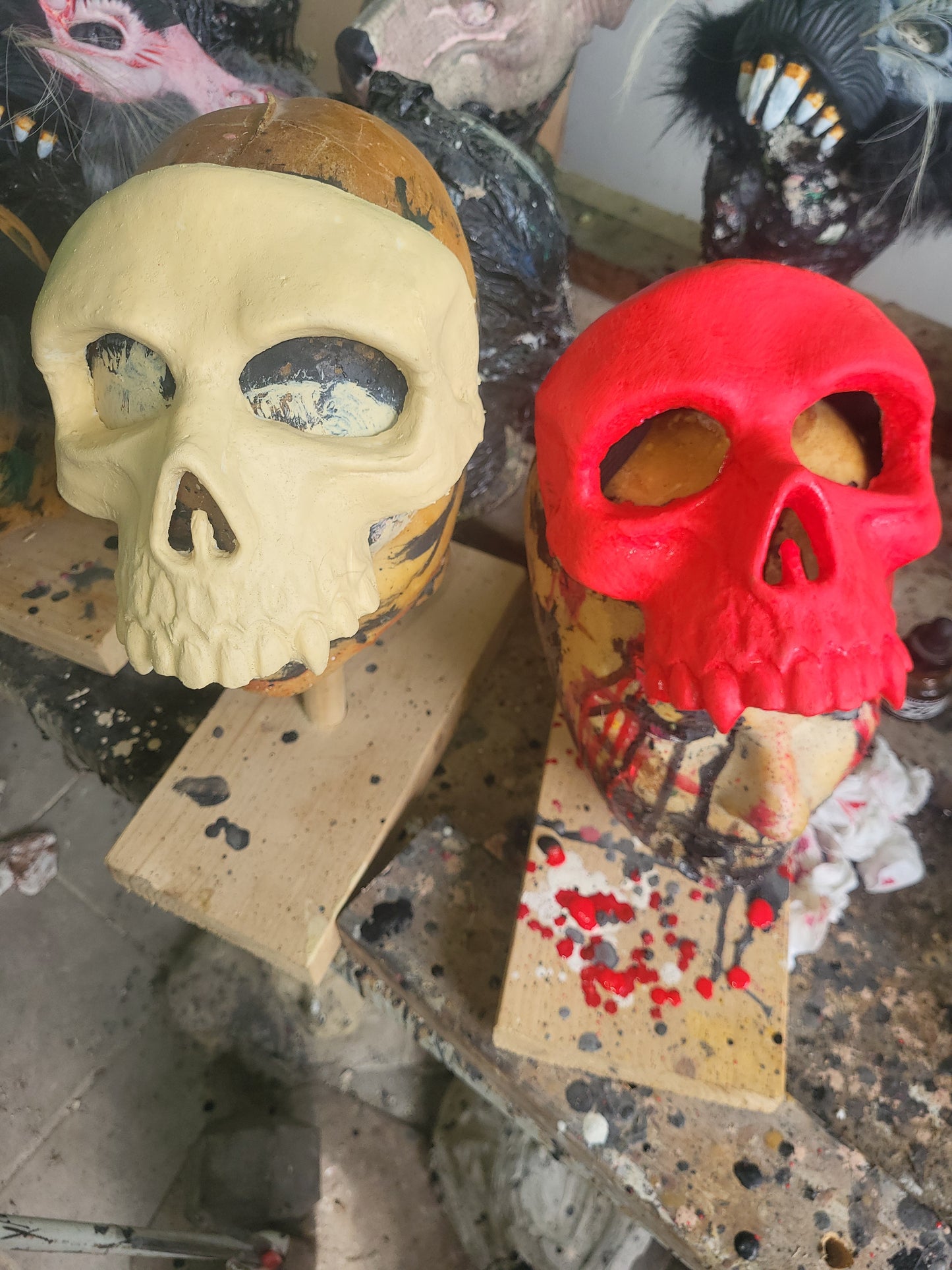 Squelette/ Skull