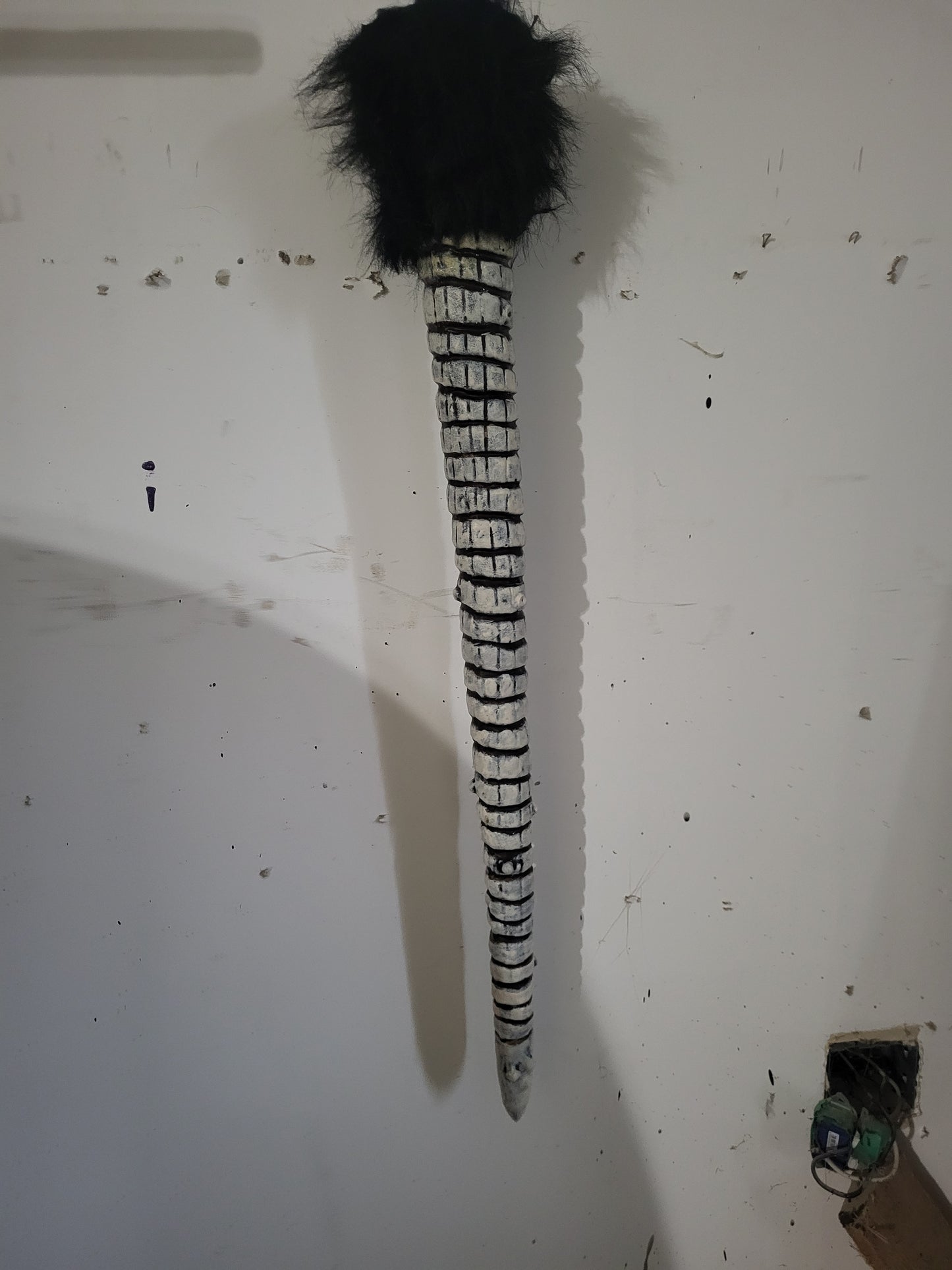Queue de rat / rat tail