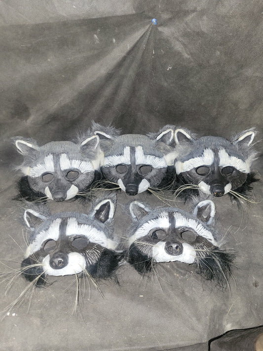 Raton-laveur/ Racoon