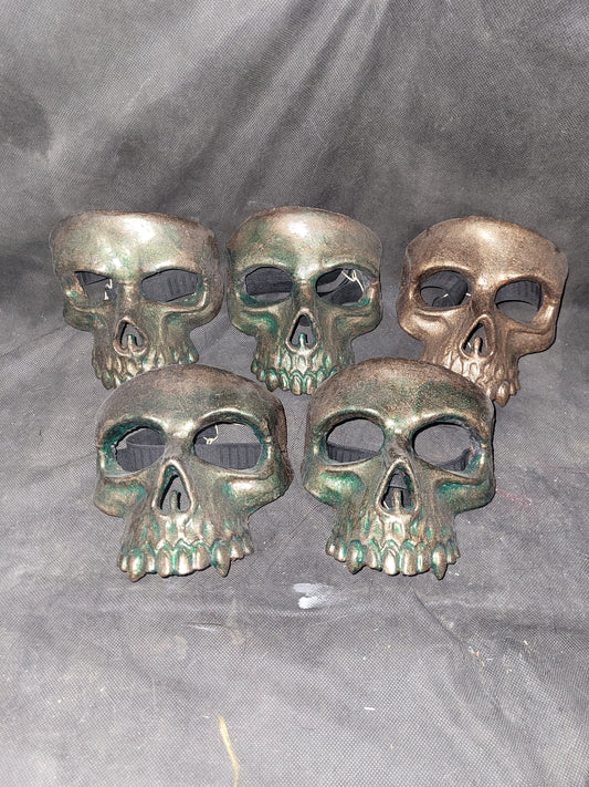 Squelette/ Skull