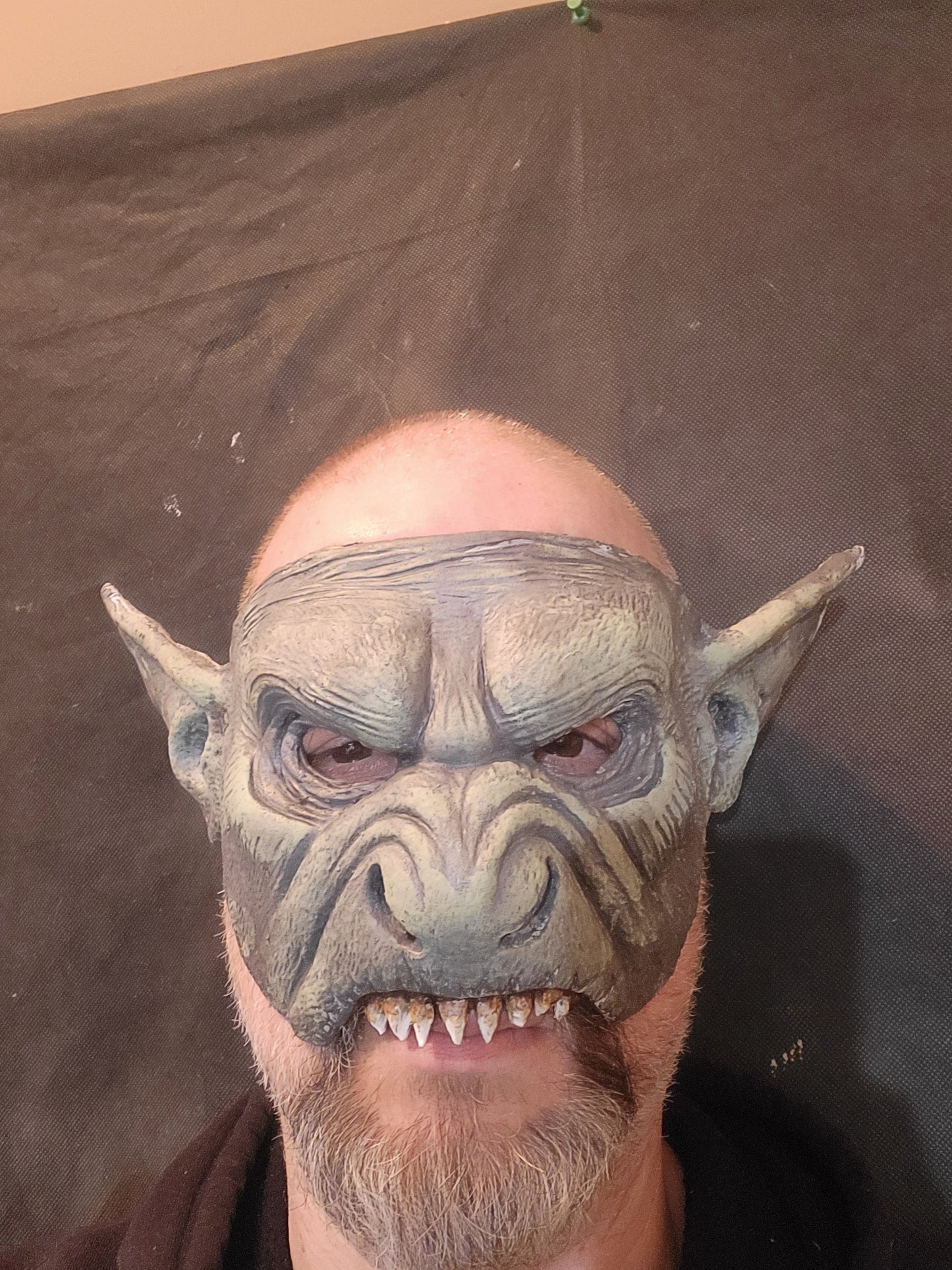 Orque no1 / ork no1